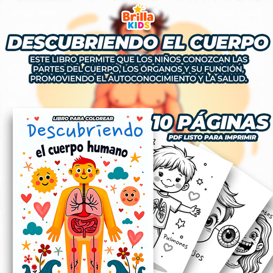🧠 Descubriendo el cuerpo humano